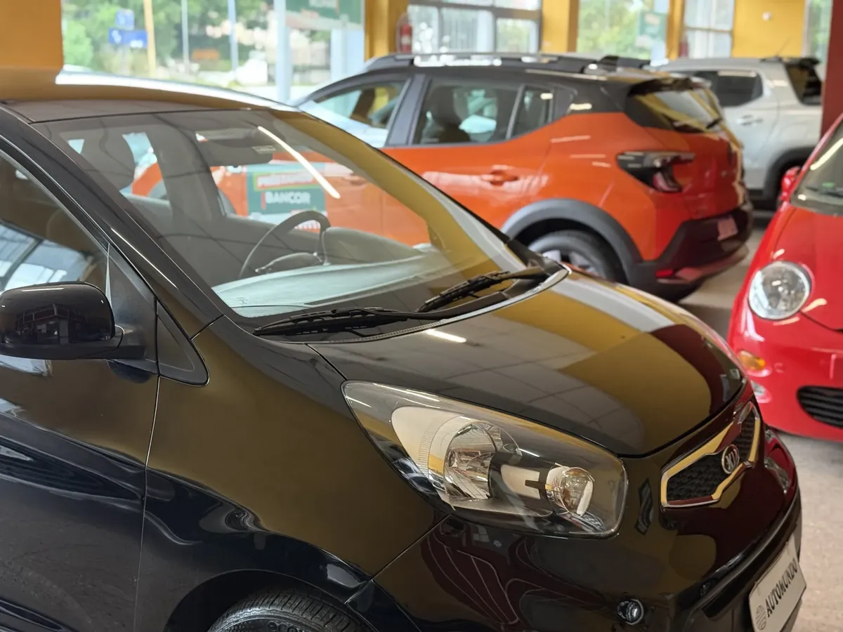 Miniatura 9