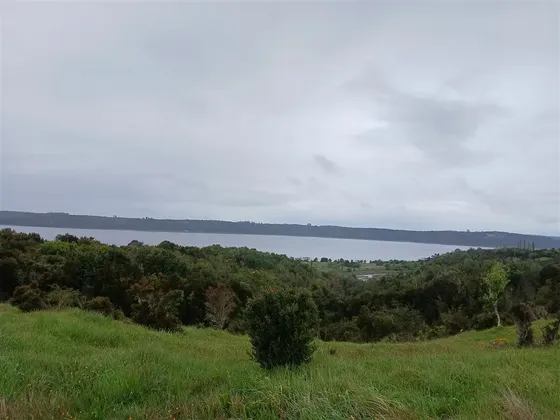 Agrícola En Venta En Quemchi