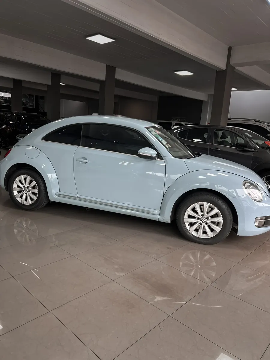 Volkswagen The Beetle Design