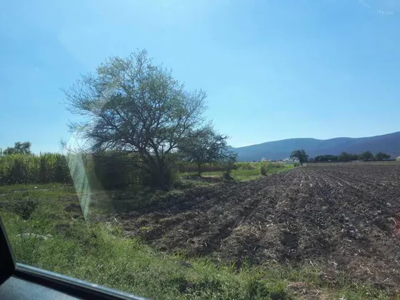 Terreno En Venta En Colonia Diego Ruiz, Yautepec, Morelos