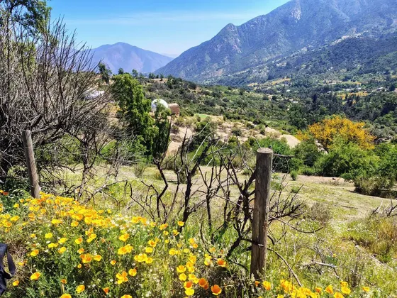 Quebrada Alvarado,respira Naturaleza, Vista Unica,