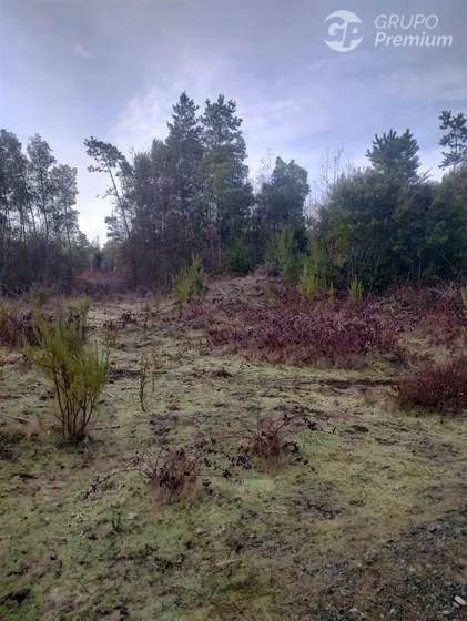 Sitio En Venta En Yungay