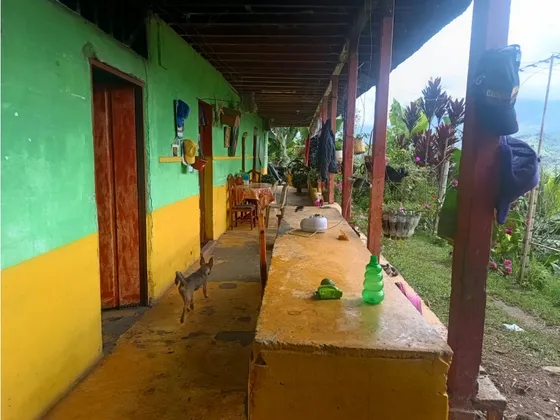 Se Vende Finca En Pijao - Quindío