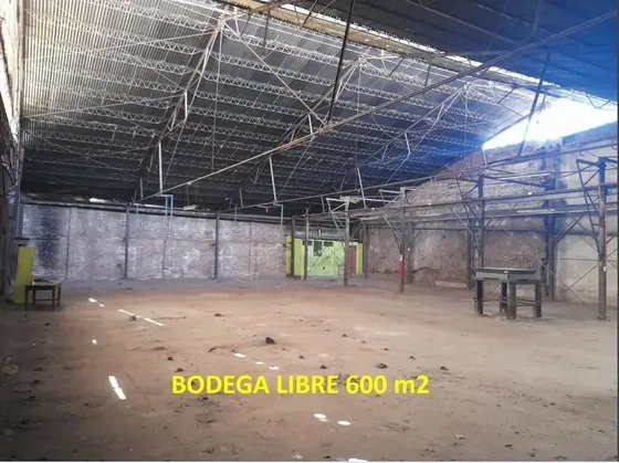 Propiedad Comercial Av. Brasil 700m2 - Interior