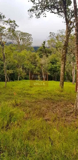 Dapa, 11 Plazas, Espectacular Lote De Terreno Arborizado Vista.