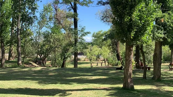 Cabaña Monoambiente En San Rafael