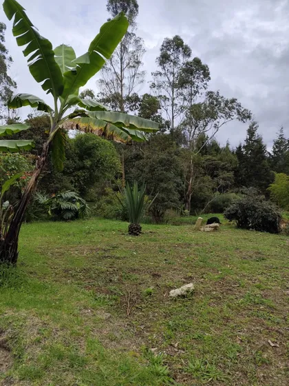  Hermosa Cabaña Entre El Bosque, En Zona Rural De Guarne 