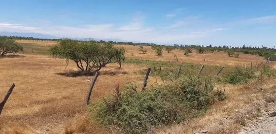 Rio Ñiquén / Ruta N-220 Lado Sur Poniente