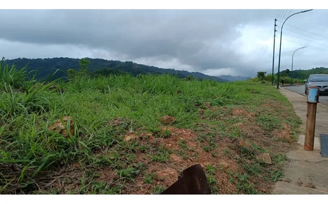 Venta. Terreno. Bosques D La Lagunita. Tg