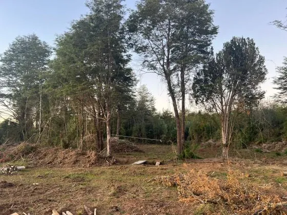 Casa Comuna De Valdivia/quintrahueque