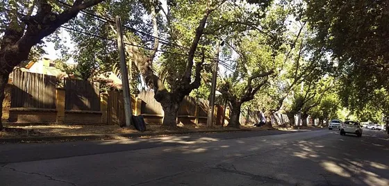 Suelo Urbano Subdividible