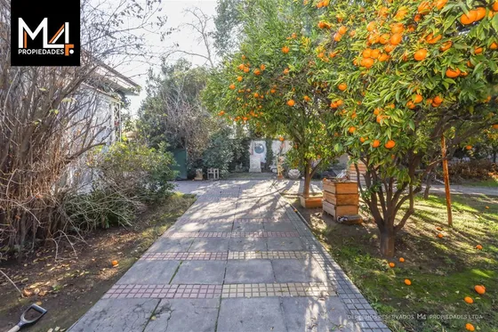 Gran Terreno Ideal Para Proyectos