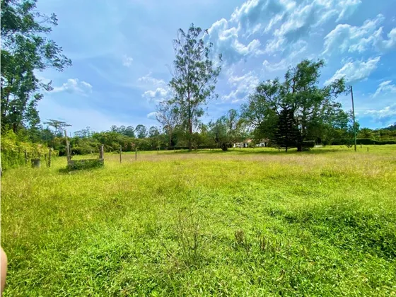 Lote En Arriendo En Rionegro Sector Llanogrande