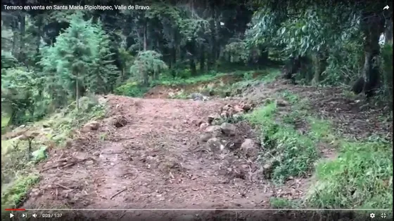 Terreno  Para Inversión En Venta  En Valle De Bravo