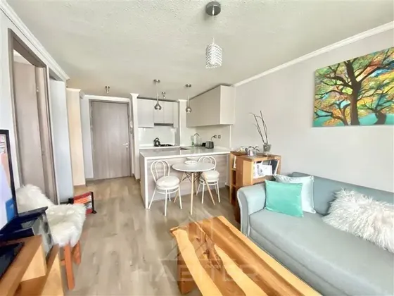 Cod38744 Departamento Venta Sector Av. Alemania 1d1b Temuco