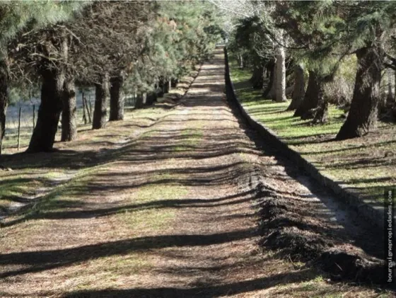 Quinta De 8 Has En Las Cercanias De Sierra De Los Padres (barrio San Carlos)