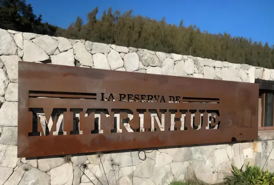 Sitio En Mitrinhue