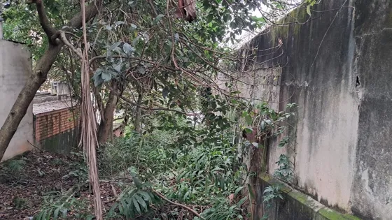Terreno No Morumbi 10x50m Contato 11 920768718