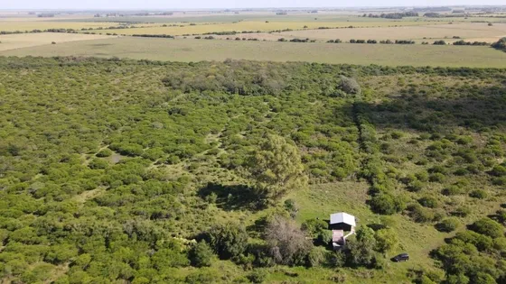 Chacra En Venta 4 Hectáreas, Gualeguaychú, Perdices.