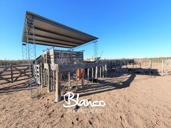  Campo En Alquiler En La Reforma, La Pampa - Campo Ganadero De 15.000 Hectáreas! 