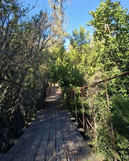 Maravilloso Campo, Un Oasis En Medio De Chillán Y Concepción