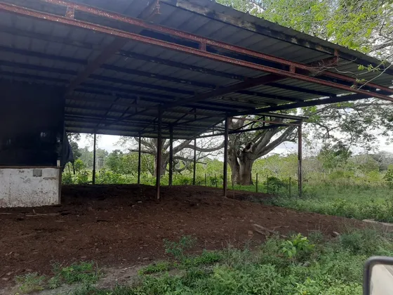 Vendo Finca En Bayaguana De 4,995 Tareas Tiene Mucha Agua Le Bordea El Rio Yavacao  