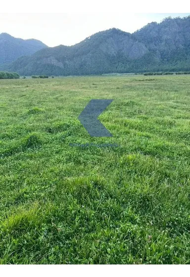 Terreno Ganadero En Venta En Lonquimay