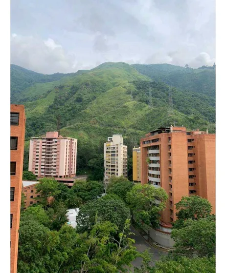 Se Vende Apartamento 122m22 Terrazas Del Avila 9799
