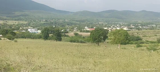 Venta Finca San Juan De La Maguana 