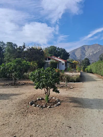 Se Arrienda Casa Con Patio Y Almendros En Producción En Sec