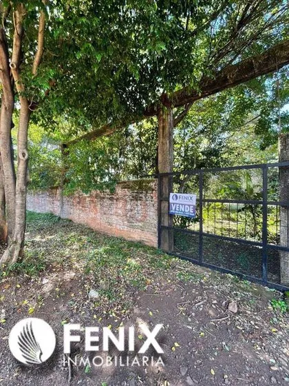 Tf519 - Terreno En Venta Z/ Miguel Lanús