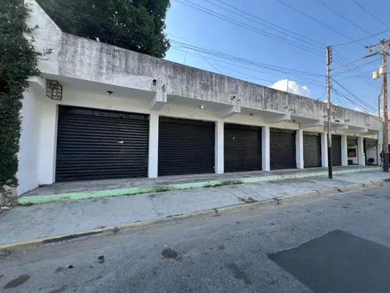 Centro Comercial En El Sector La Florida, A 2 Cuadras Del C.c. Guacara Plaza Ns