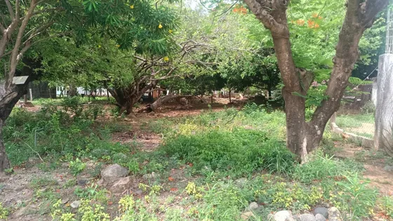 Se Vende Bonito Terreno En La Colonia Gustavo López 