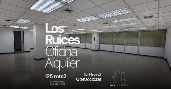 Oficina Alquiler Los Ruices 125 Mts2 Sonmetros2