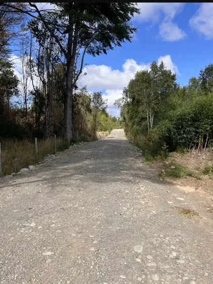 Parcela 174 En Proyecto Terra Viva Rupanco (etapa 1)