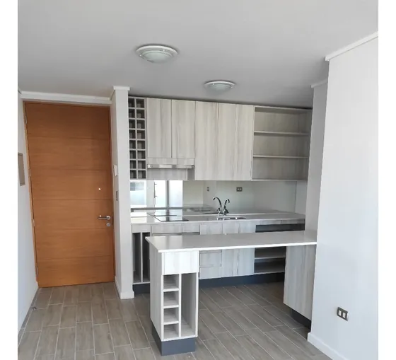Bello Depto En Arriendo 1d/1b + 1 Estacionamiento