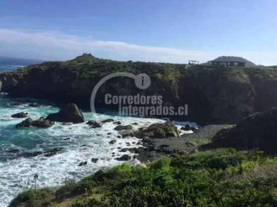 Terreno De 5.250 M2 En Condominio, Prim. Linea, Los Vilos