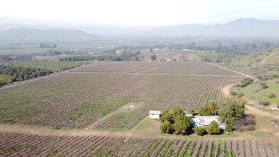Agrícola En Venta En El Monte