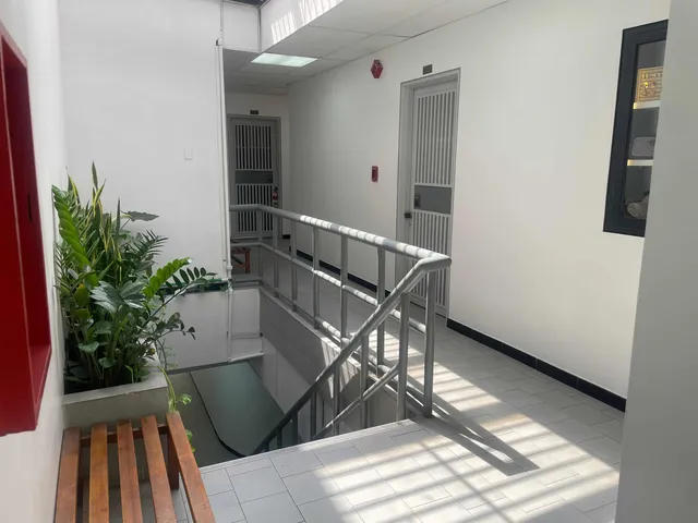Oficinas En Alquiler En Sabana Grande