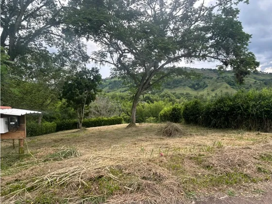 Venta Lote Para Casa Campestre Km 41 Palestina | Lote En Venta