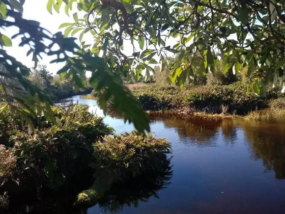 Parcela En Venta Sector Los Pinis (15minutos) De Pto. Montt