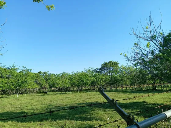 Finca En Bonao