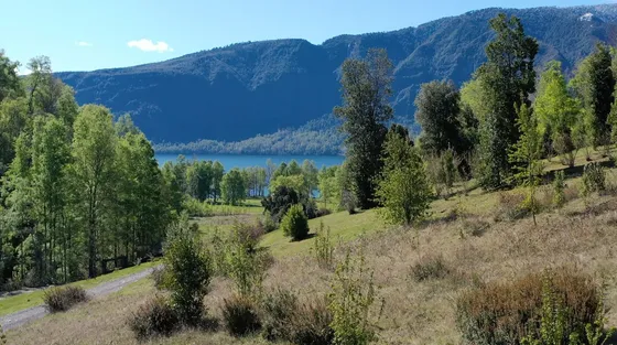 Sitio Premium En Condominio Exclusivo Lago Colico