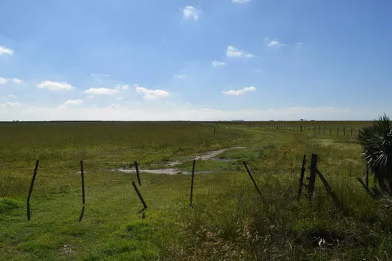 Campo En Rufino
