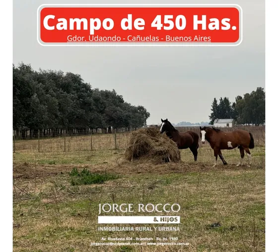 Campo En Venta. 450 Has. En Gdor. Udaondo, Pdo. De Cañuelas