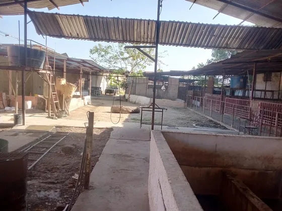 Se Vende Mini Granja Santa Cruz De Aragua