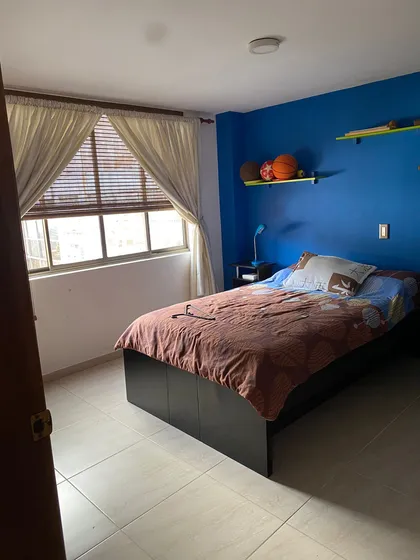 Casa En Arriendo En La Francia / Manizales (279062439).