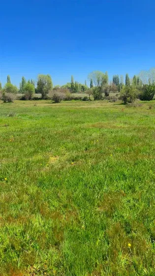 Parcelas A Minutos Centro Longaví Con Tierra Fértil Crédito