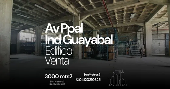 Edificio Venta Av. Principal De Industrial Guayabal Guarenas 3000 Mts2 Sonmetros2