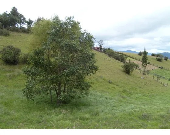 Oportunidad Vendo Hermoso Lote Cogua Oportunidad